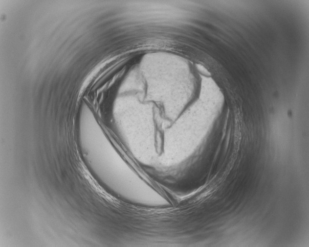 X0000051860796200507151819