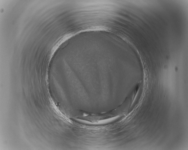 X0000051860797200507151819