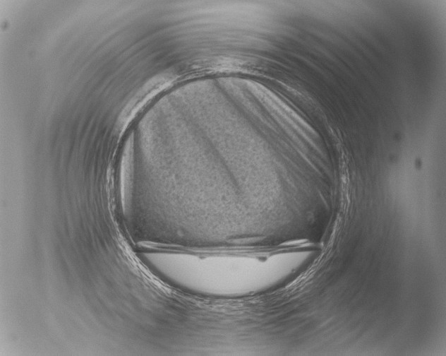 X0000051860798200507151819