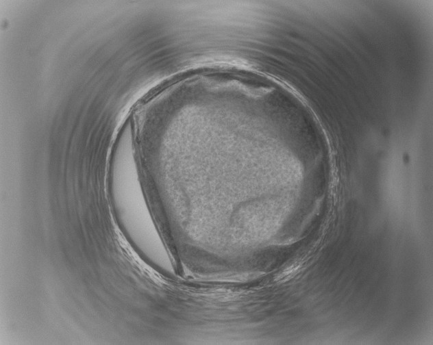 X0000051860799200507151819