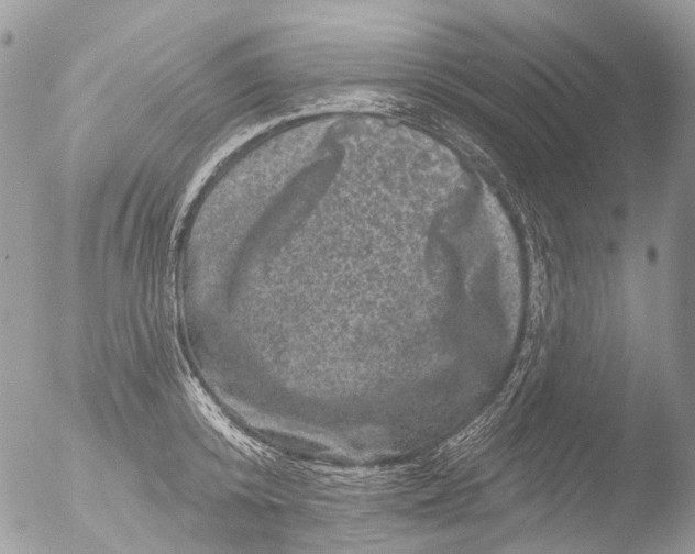 X0000051860800200507151819