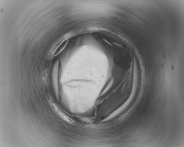 X0000051860801200507151819