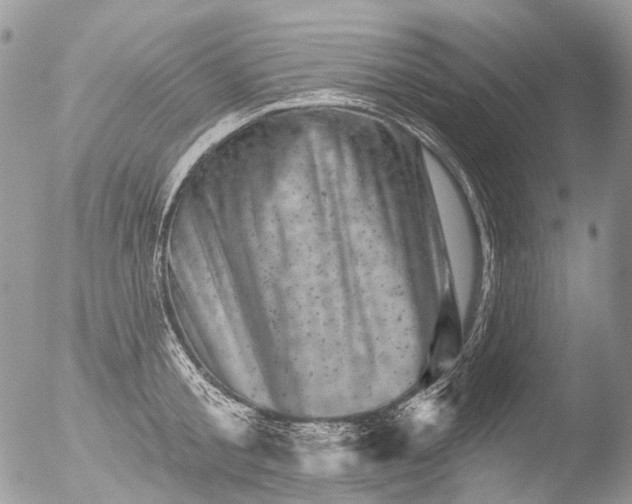 X0000051860805200507151819