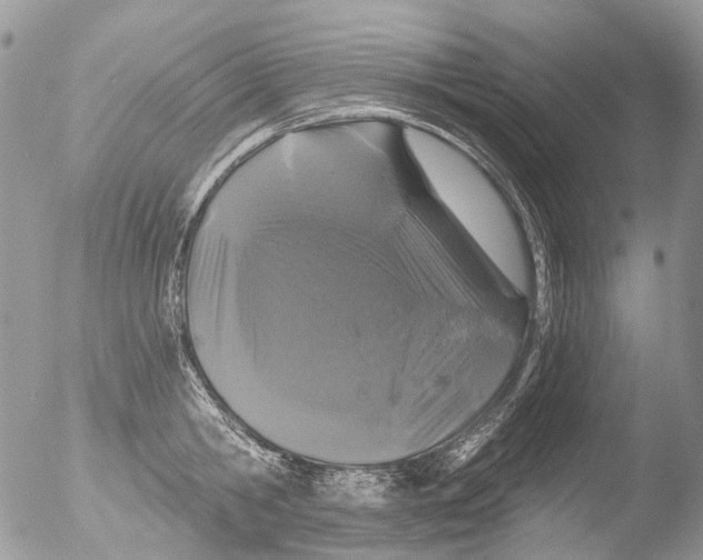 X0000051860806200507151819