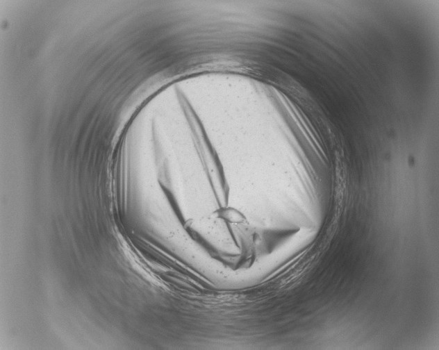 X0000051860808200507151819