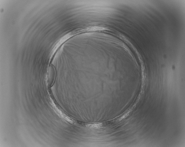 X0000051860810200507151819