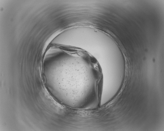 X0000051860812200507151819