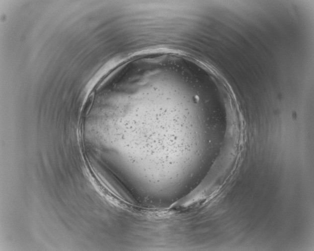 X0000051860813200507151819