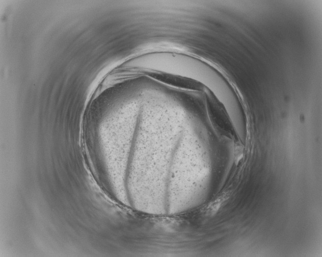 X0000051860815200507151819