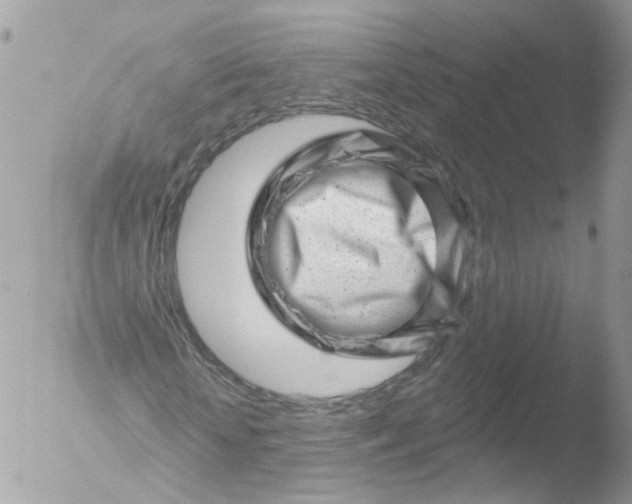 X0000051860818200507151818