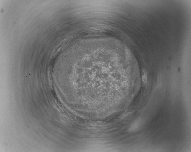 X0000051860819200507151818