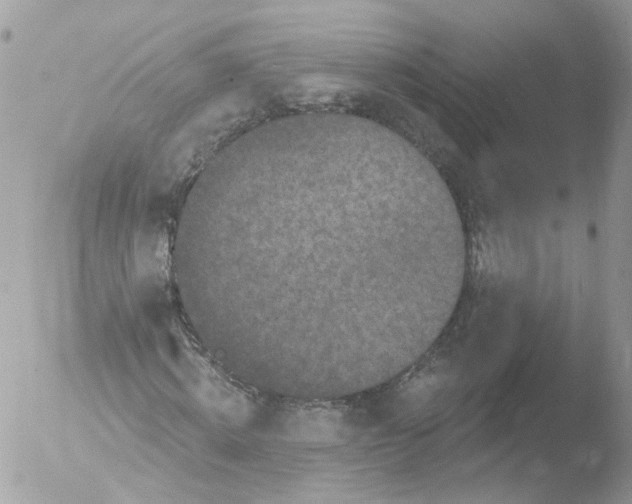 X0000051860820200507151818