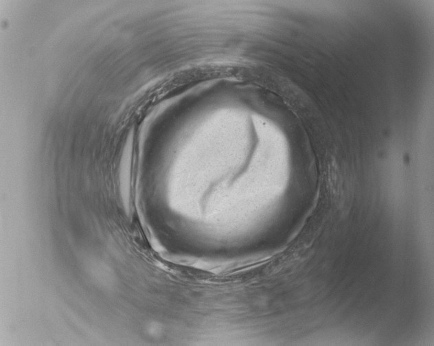 X0000051860821200507151818