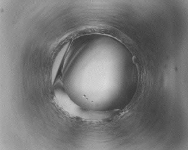 X0000051860822200507151818