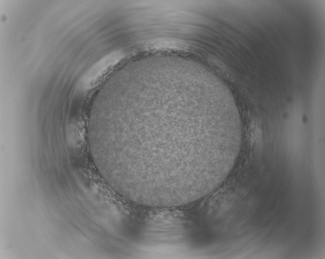 X0000051860824200507151818