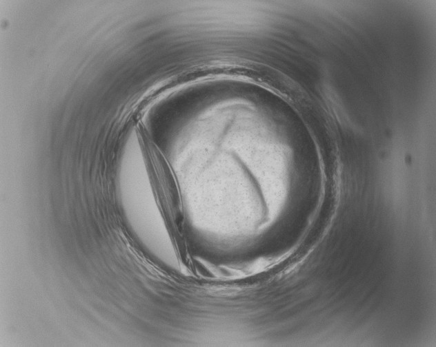 X0000051860825200507151818