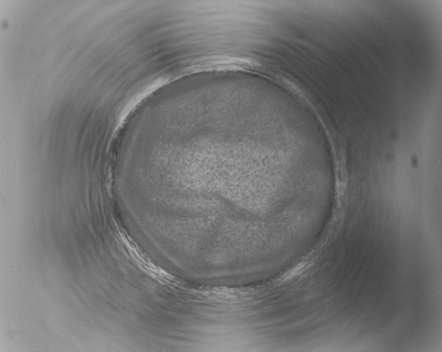 X0000051860827200507151818