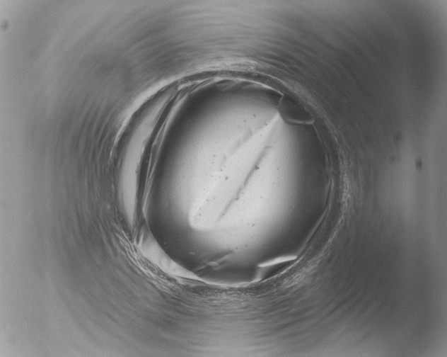 X0000051860830200507151818