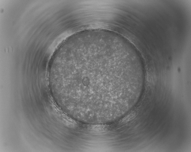 X0000051860832200507151818