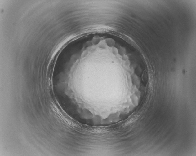 X0000051860835200507151818