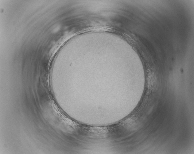 X0000051860836200507151818