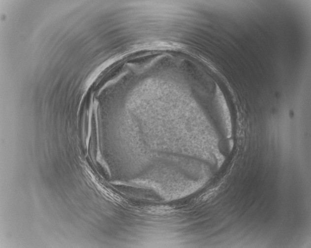 X0000051860837200507151818