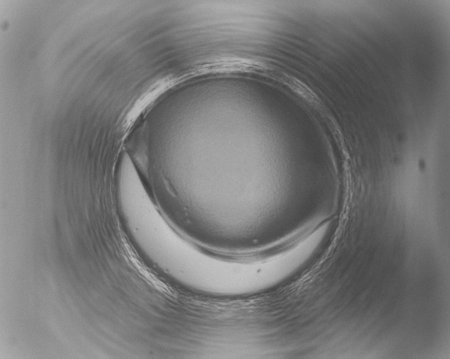 X0000051860842200507151818