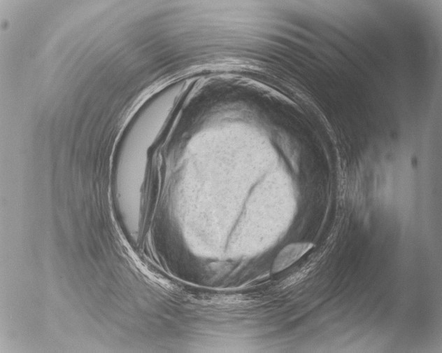 X0000051860845200507151818