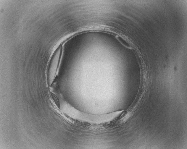 X0000051860846200507151818