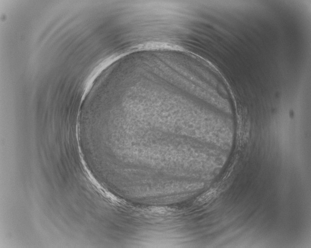 X0000051860847200507151818