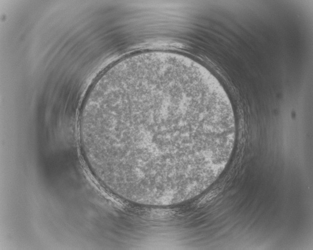 X0000051860848200507151818