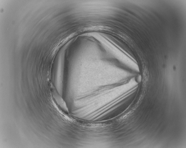 X0000051860849200507151818