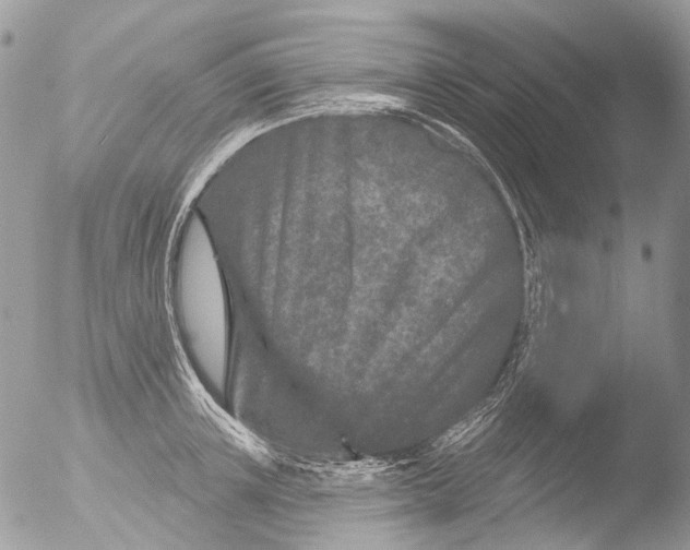 X0000051860851200507151818