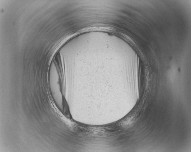 X0000051860852200507151818