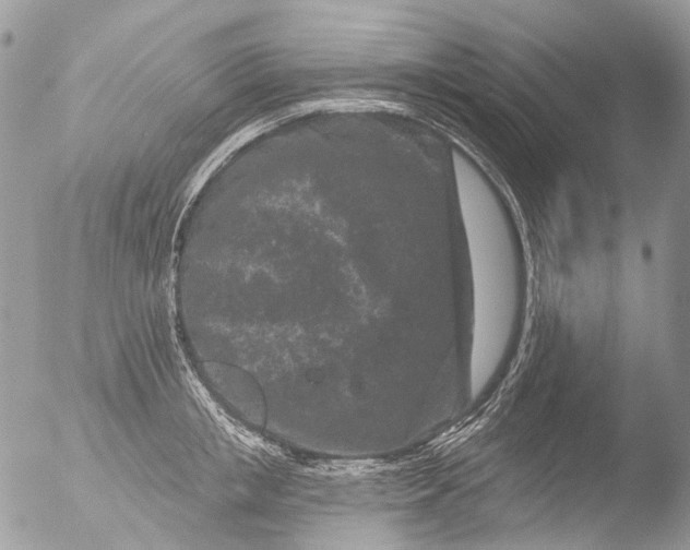 X0000051860853200507151818