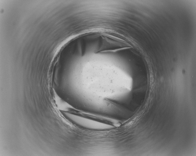 X0000051860854200507151818