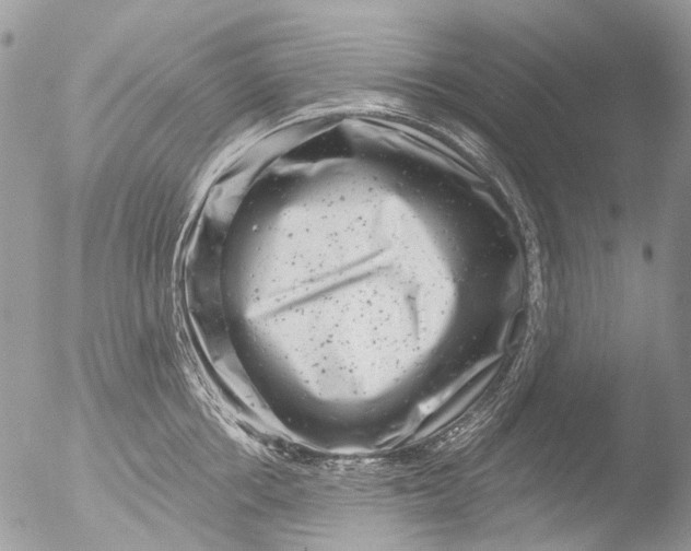 X0000051860858200507151818