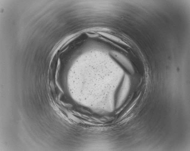 X0000051860860200507151818