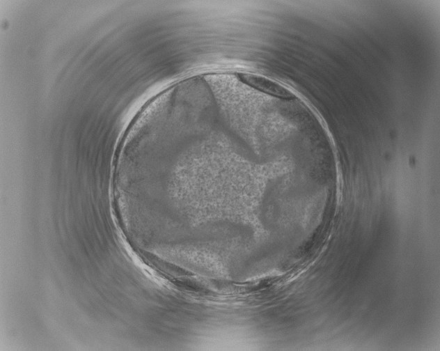 X0000051860861200507151818