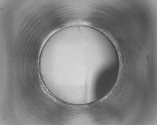 X0000051860864200507151818