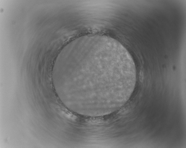 X0000051860865200507151818