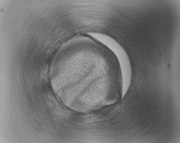 X0000051860867200507151818