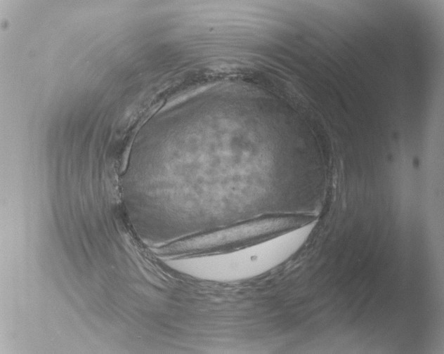 X0000051860868200507151818