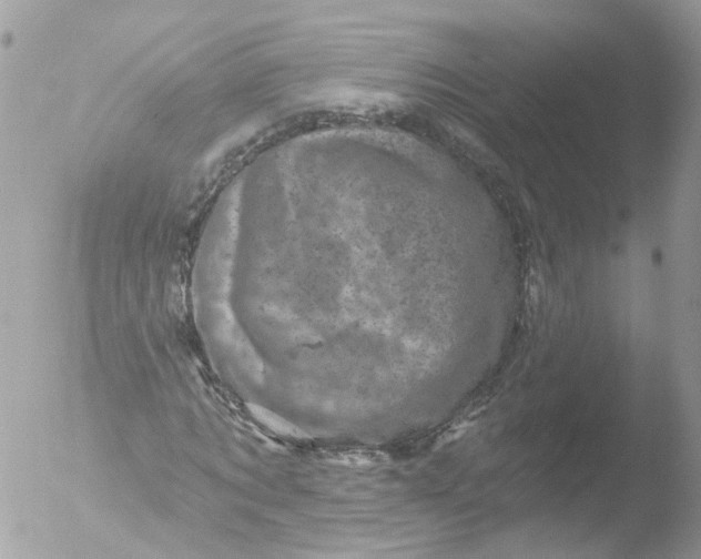 X0000051860869200507151818