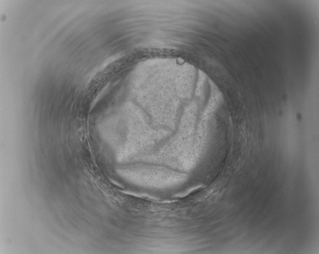 X0000051860870200507151818