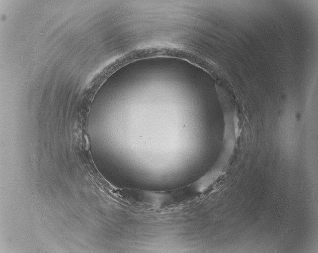 X0000051860872200507151818