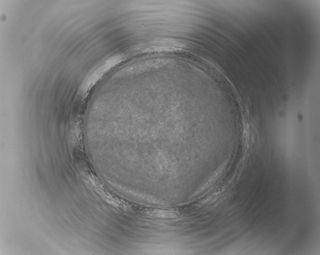 X0000051860874200507151818