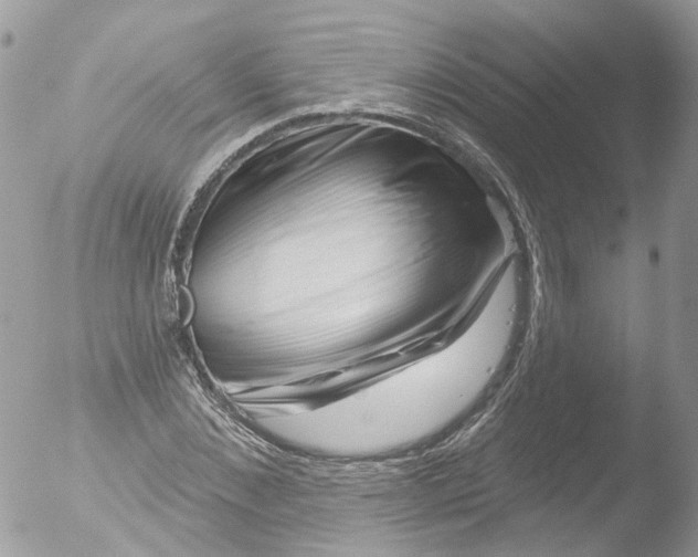 X0000051860876200507151817