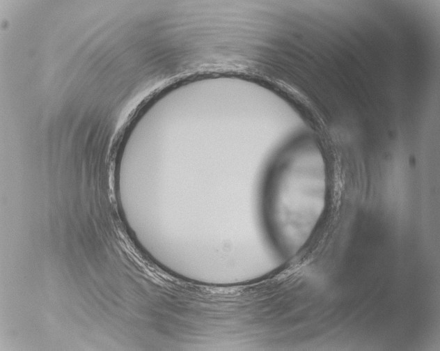 X0000051860878200507151817