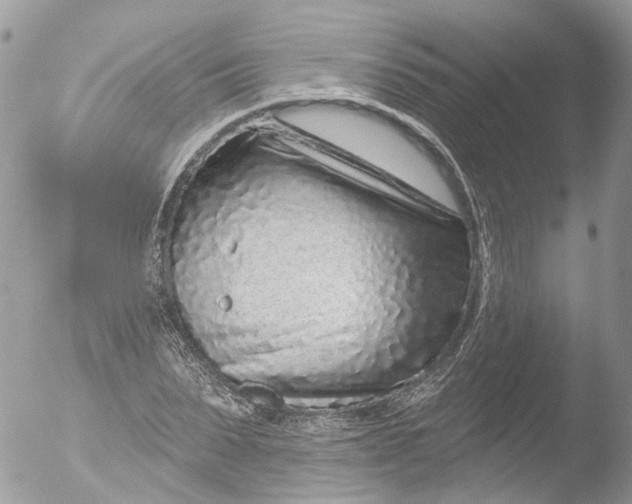 X0000051860879200507151817